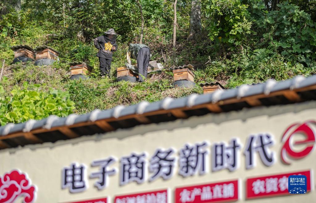 567捕鱼